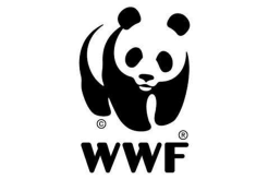 engagement_wwf.gif