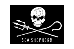 engagement_sea-shepherd.gif